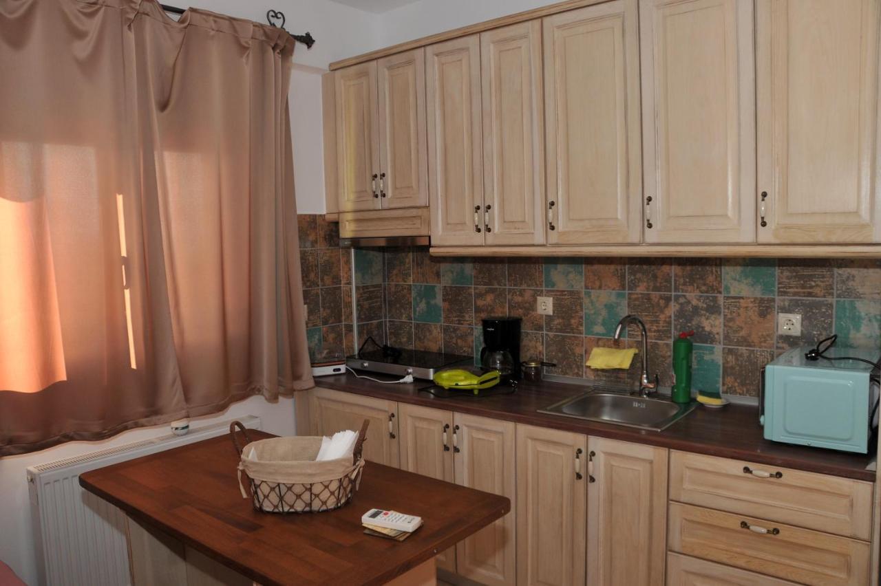 Dominique Meteora House Apartment Kalampáka Ngoại thất bức ảnh